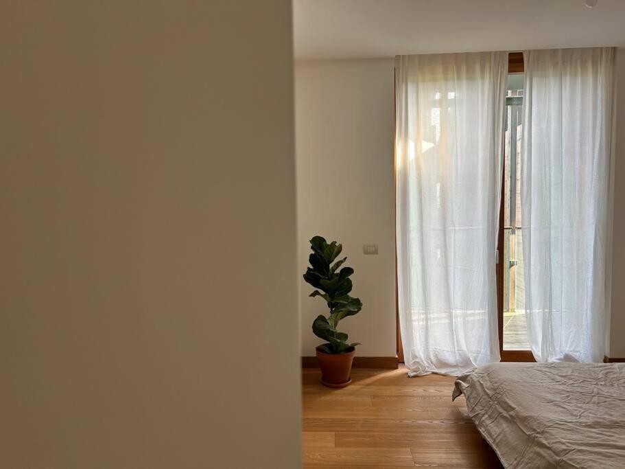 Casa Alegria Apartman Trento Kültér fotó