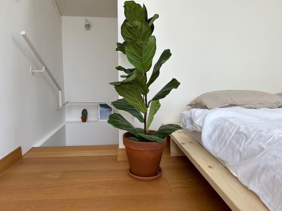 Casa Alegria Apartman Trento Kültér fotó
