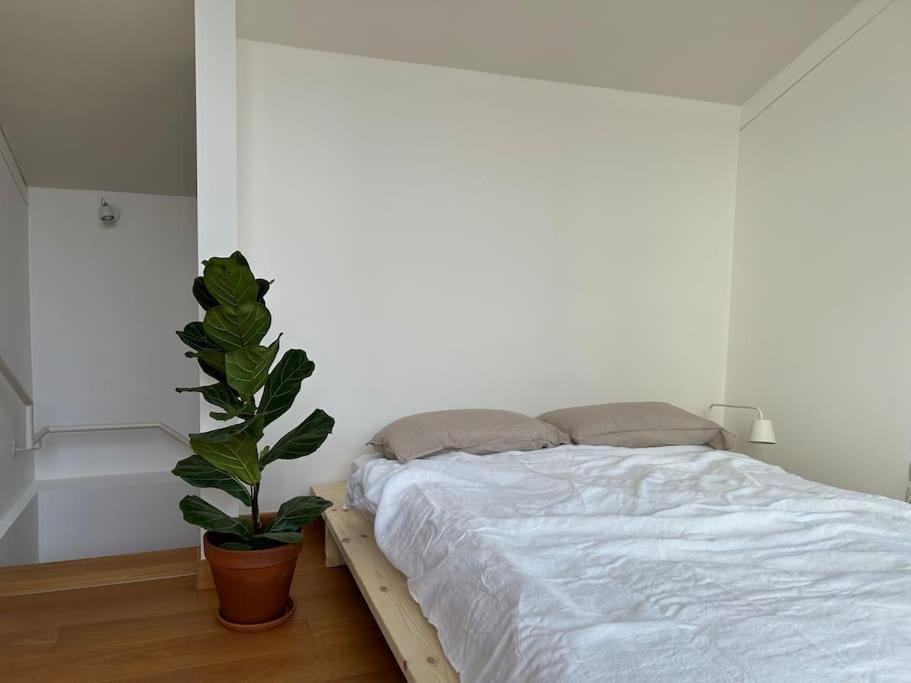 Casa Alegria Apartman Trento Kültér fotó