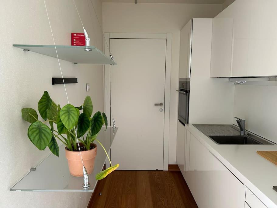 Casa Alegria Apartman Trento Kültér fotó